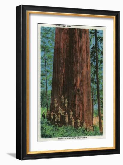 Boy Scout Tree on Redwood Highway - Redwoods, CA-Lantern Press-Framed Premium Giclee Print