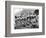 Boy Scouts from All Parts of Europe-null-Framed Photographic Print