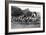 Boy Scouts with Van on Hampstead Heath, London-Reinhold Thiele-Framed Art Print