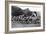 Boy Scouts with Van on Hampstead Heath, London-Reinhold Thiele-Framed Premium Giclee Print