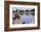 Boy Sitting by Lake in Cowboy Hat-William P. Gottlieb-Framed Photographic Print