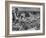 Boy Sitting on Rock Ledge Above Refugee Camp-Margaret Bourke-White-Framed Photographic Print