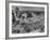 Boy Sitting on Rock Ledge Above Refugee Camp-Margaret Bourke-White-Framed Photographic Print