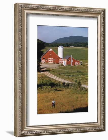 Boy Standing in Field Near Red Barn-William P. Gottlieb-Framed Photographic Print
