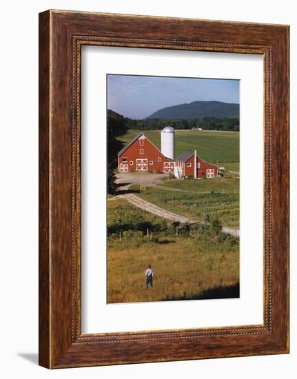 Boy Standing in Field Near Red Barn-William P. Gottlieb-Framed Photographic Print