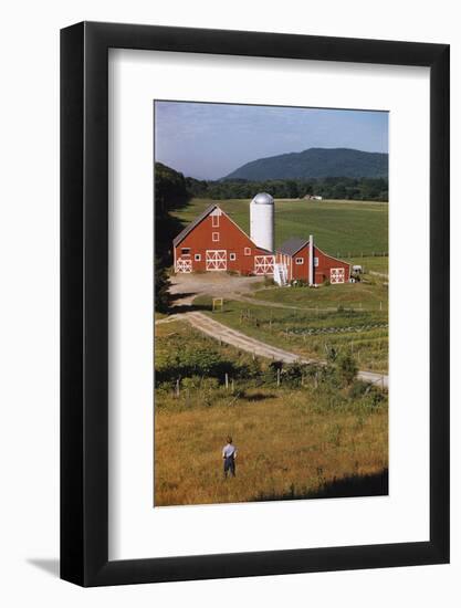 Boy Standing in Field Near Red Barn-William P. Gottlieb-Framed Photographic Print