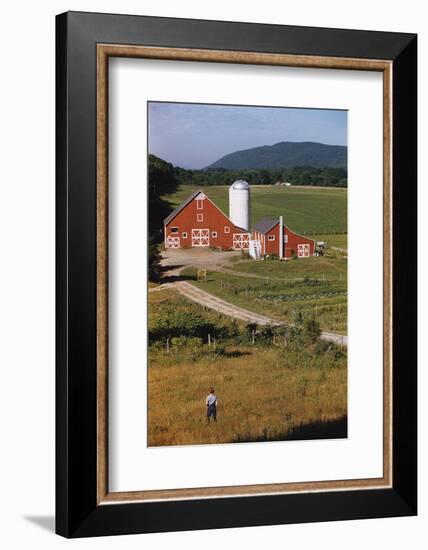 Boy Standing in Field Near Red Barn-William P. Gottlieb-Framed Photographic Print