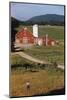 Boy Standing in Field Near Red Barn-William P. Gottlieb-Mounted Photographic Print