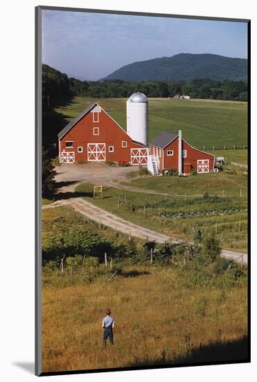 Boy Standing in Field Near Red Barn-William P. Gottlieb-Mounted Photographic Print