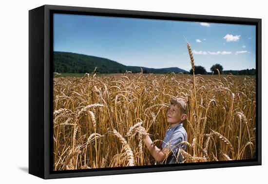 Boy Standing in Field of Wheat-William P. Gottlieb-Framed Premier Image Canvas