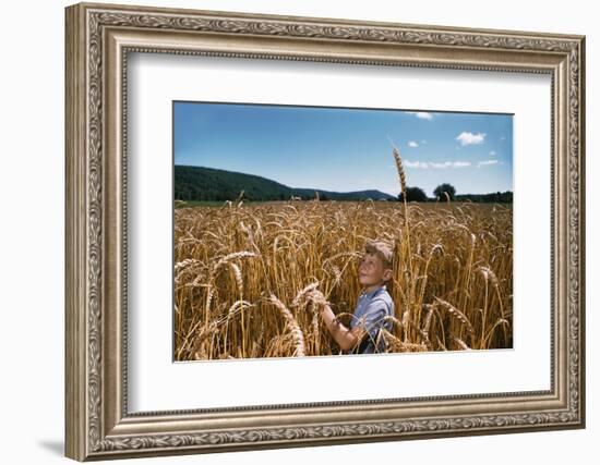 Boy Standing in Field of Wheat-William P. Gottlieb-Framed Photographic Print