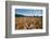 Boy Standing in Field of Wheat-William P. Gottlieb-Framed Photographic Print