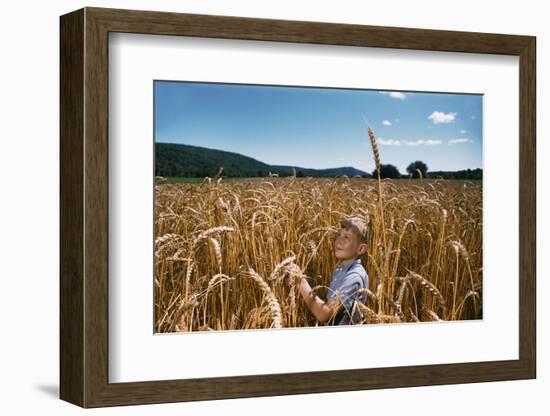 Boy Standing in Field of Wheat-William P. Gottlieb-Framed Photographic Print