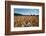 Boy Standing in Field of Wheat-William P. Gottlieb-Framed Photographic Print