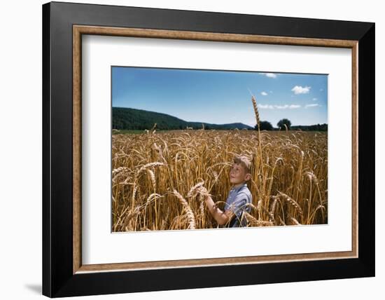 Boy Standing in Field of Wheat-William P. Gottlieb-Framed Photographic Print