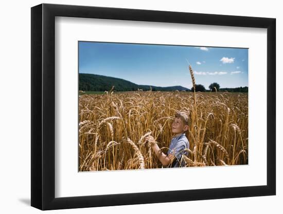 Boy Standing in Field of Wheat-William P. Gottlieb-Framed Photographic Print