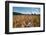 Boy Standing in Field of Wheat-William P. Gottlieb-Framed Photographic Print