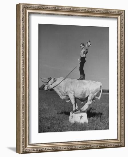 Boy Standing on Shorthorn Bull at White Horse Ranch-William C^ Shrout-Framed Photographic Print