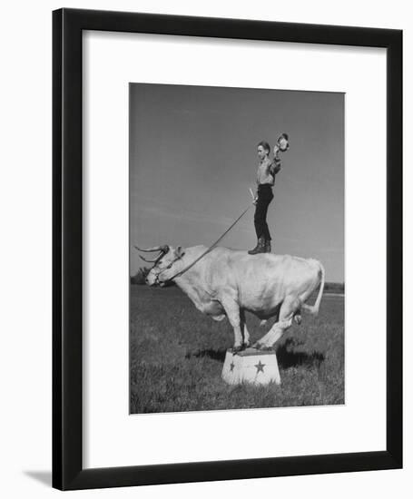 Boy Standing on Shorthorn Bull at White Horse Ranch-William C^ Shrout-Framed Photographic Print