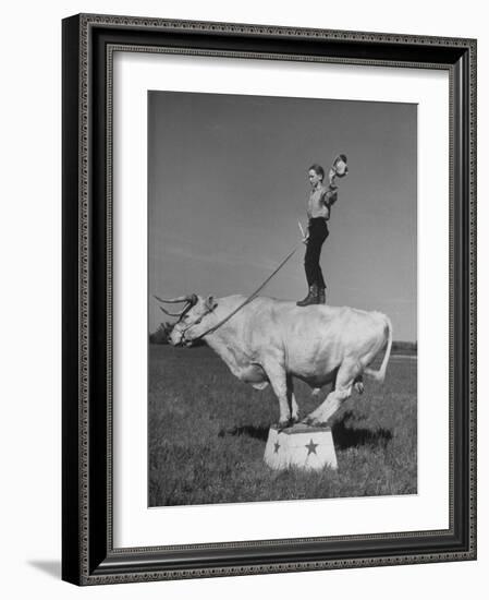Boy Standing on Shorthorn Bull at White Horse Ranch-William C^ Shrout-Framed Photographic Print