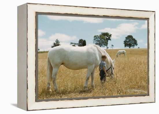 Boy Standing with Horse in a Field-William P. Gottlieb-Framed Premier Image Canvas