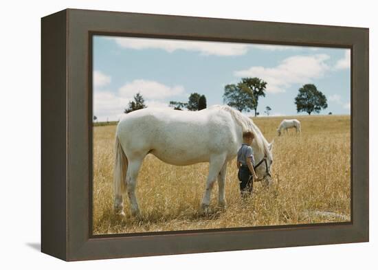 Boy Standing with Horse in a Field-William P. Gottlieb-Framed Premier Image Canvas