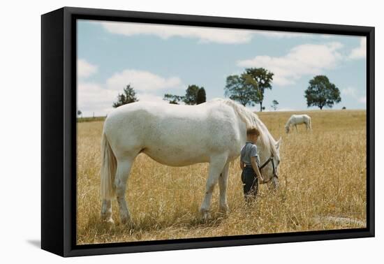 Boy Standing with Horse in a Field-William P. Gottlieb-Framed Premier Image Canvas