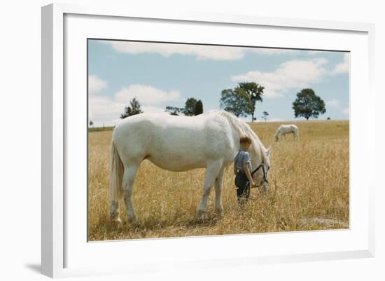 Boy Standing with Horse in a Field-William P. Gottlieb-Framed Photographic Print