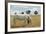 Boy Standing with Horse in a Field-William P. Gottlieb-Framed Photographic Print