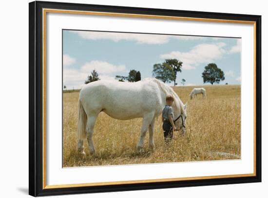 Boy Standing with Horse in a Field-William P. Gottlieb-Framed Photographic Print