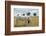 Boy Standing with Horse in a Field-William P. Gottlieb-Framed Photographic Print