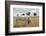 Boy Standing with Horse in a Field-William P. Gottlieb-Framed Photographic Print