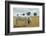 Boy Standing with Horse in a Field-William P. Gottlieb-Framed Photographic Print