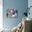 Boy Swinging a Baseball Bat on a Field-null-Photographic Print displayed on a wall