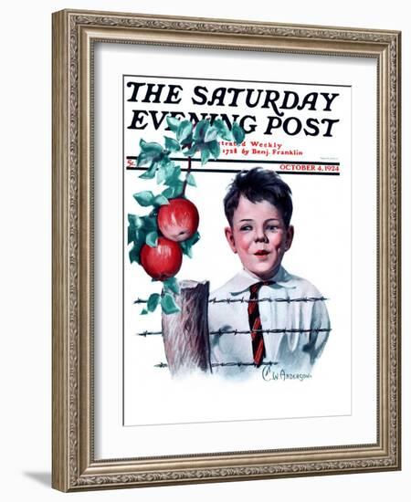 "Boy Tempted by Apples," Saturday Evening Post Cover, October 4, 1924-Clarence William Anderson-Framed Giclee Print