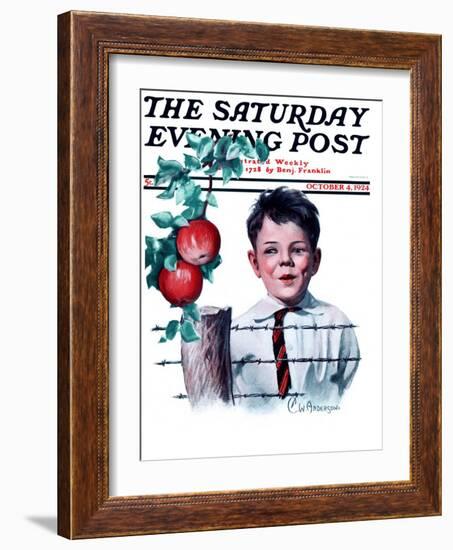 "Boy Tempted by Apples," Saturday Evening Post Cover, October 4, 1924-Clarence William Anderson-Framed Giclee Print