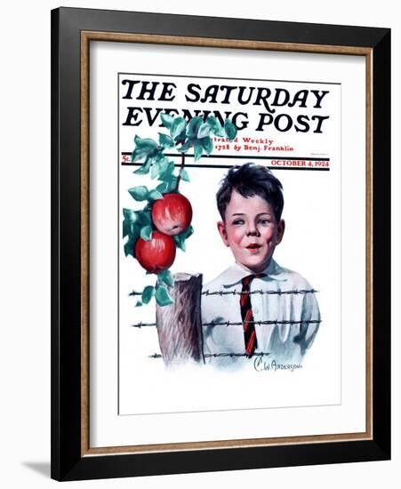 "Boy Tempted by Apples," Saturday Evening Post Cover, October 4, 1924-Clarence William Anderson-Framed Giclee Print