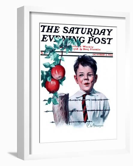 "Boy Tempted by Apples," Saturday Evening Post Cover, October 4, 1924-Clarence William Anderson-Framed Giclee Print
