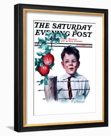 "Boy Tempted by Apples," Saturday Evening Post Cover, October 4, 1924-Clarence William Anderson-Framed Giclee Print