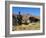 Boy Threshing with Oxen, Bamiyan Province, Afghanistan-Jane Sweeney-Framed Photographic Print