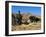 Boy Threshing with Oxen, Bamiyan Province, Afghanistan-Jane Sweeney-Framed Photographic Print