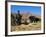 Boy Threshing with Oxen, Bamiyan Province, Afghanistan-Jane Sweeney-Framed Photographic Print