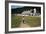 Boy Walking Towards a Barn-William P. Gottlieb-Framed Photographic Print