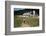 Boy Walking Towards a Barn-William P. Gottlieb-Framed Photographic Print