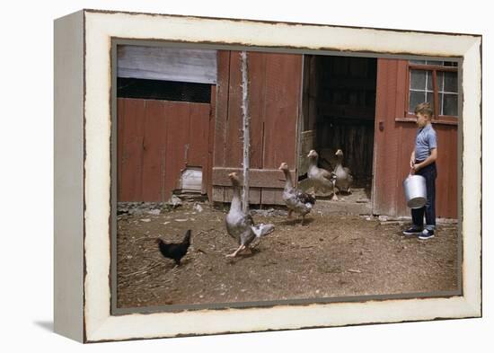 Boy Watching Geese Leave Barn-William P. Gottlieb-Framed Premier Image Canvas