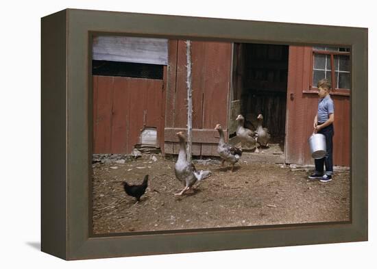 Boy Watching Geese Leave Barn-William P. Gottlieb-Framed Premier Image Canvas