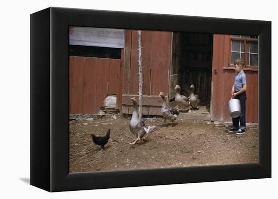 Boy Watching Geese Leave Barn-William P. Gottlieb-Framed Premier Image Canvas