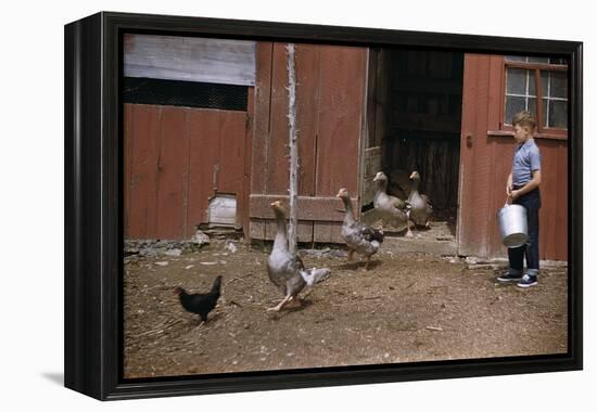 Boy Watching Geese Leave Barn-William P. Gottlieb-Framed Premier Image Canvas
