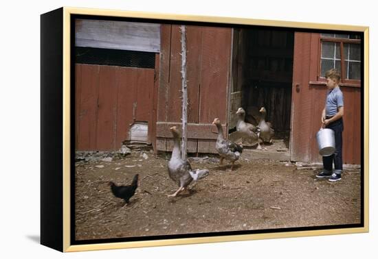 Boy Watching Geese Leave Barn-William P. Gottlieb-Framed Premier Image Canvas