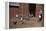 Boy Watching Geese Leave Barn-William P. Gottlieb-Framed Premier Image Canvas